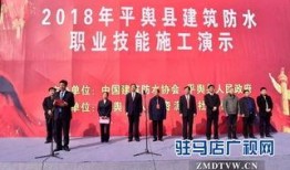 平舆融媒最新爆料新闻,最新爆料事件深度解析